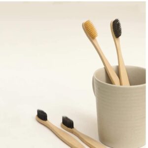 Flat Handle Bamboo Toothbrush (Set of 2)