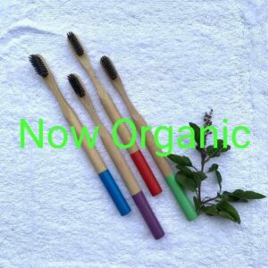 Colored Handle Bamboo Toothbrush (Set of 2)