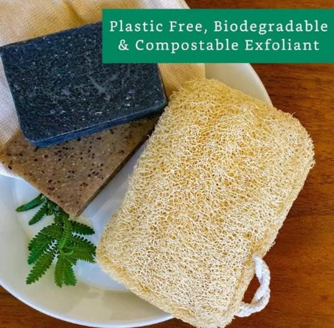 Rustic Rituals Natural Loofah (Set of 2) - Image 4